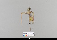 藏品(泰國小檯皮影戲偶)的圖片